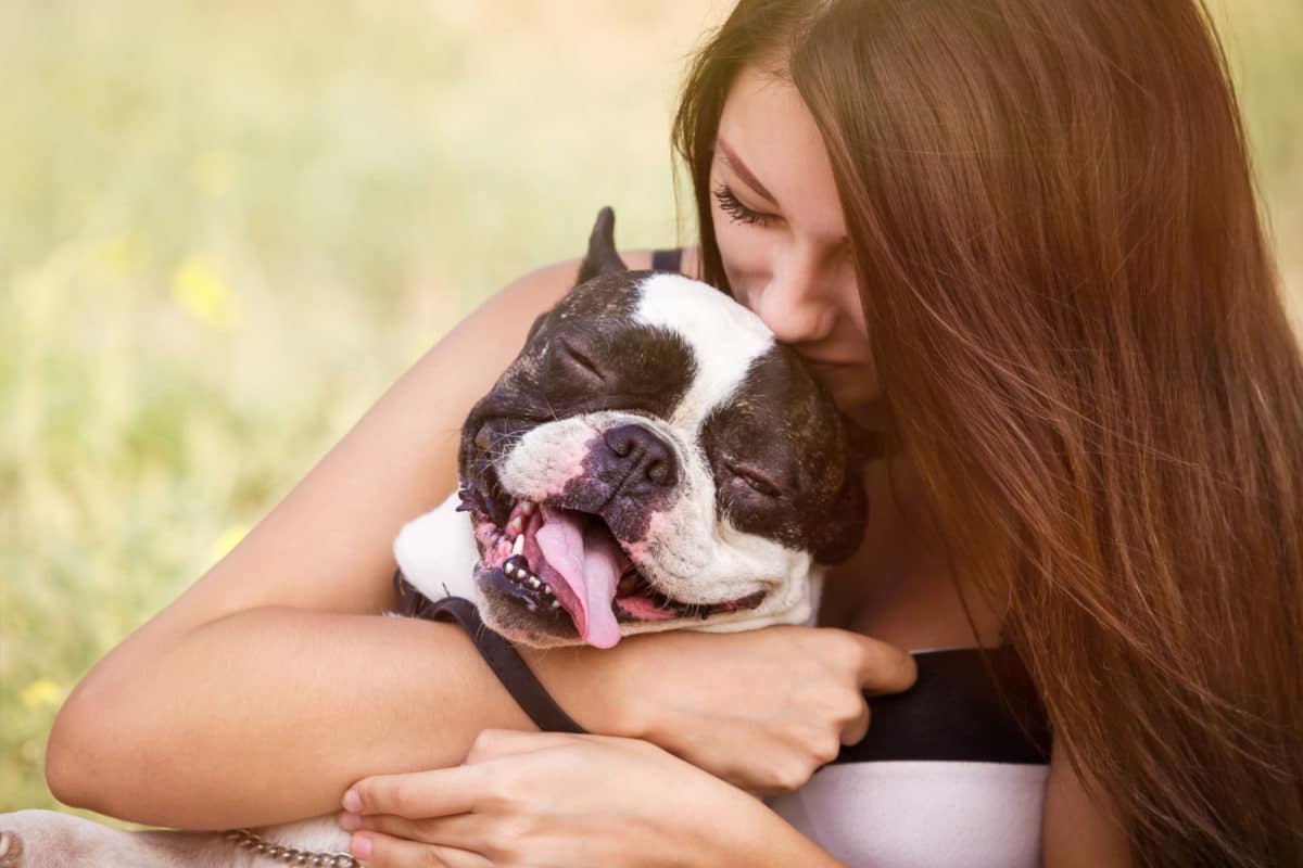 Au cœur de l'harmonie avec les chiens