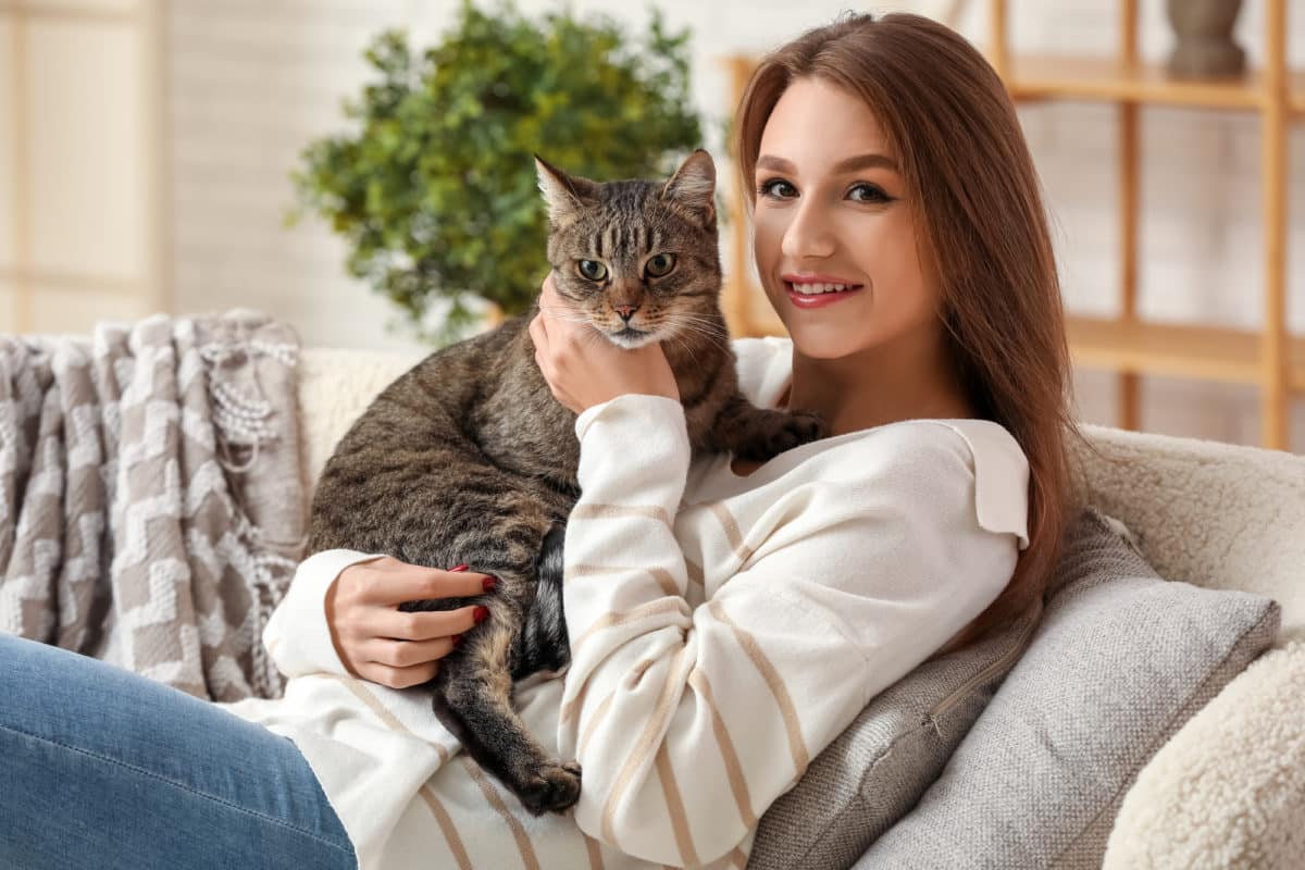 Les propriétaires de chats les aiment plus que leurs partenaires
