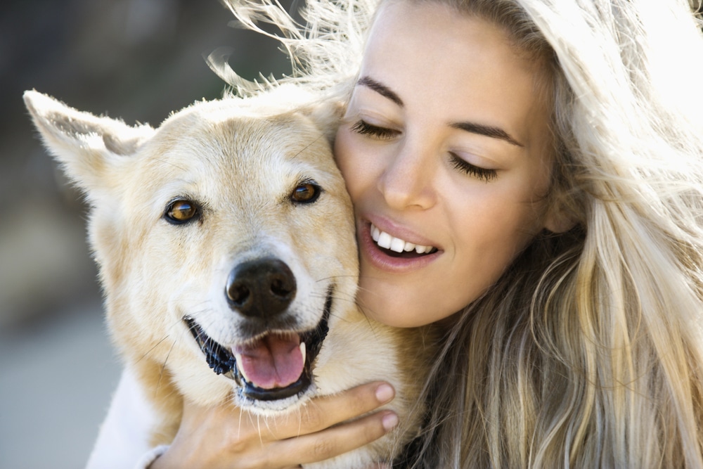 Chien affectueux