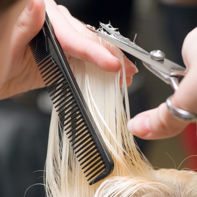 La botched fringe surprend